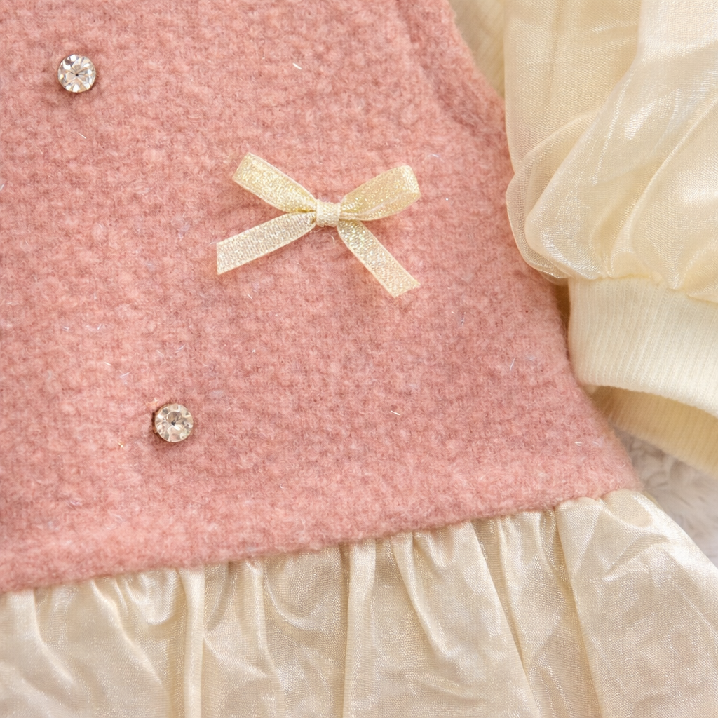 Blush Sleeveless Dress with Sheer Sleeve Inner Top Set