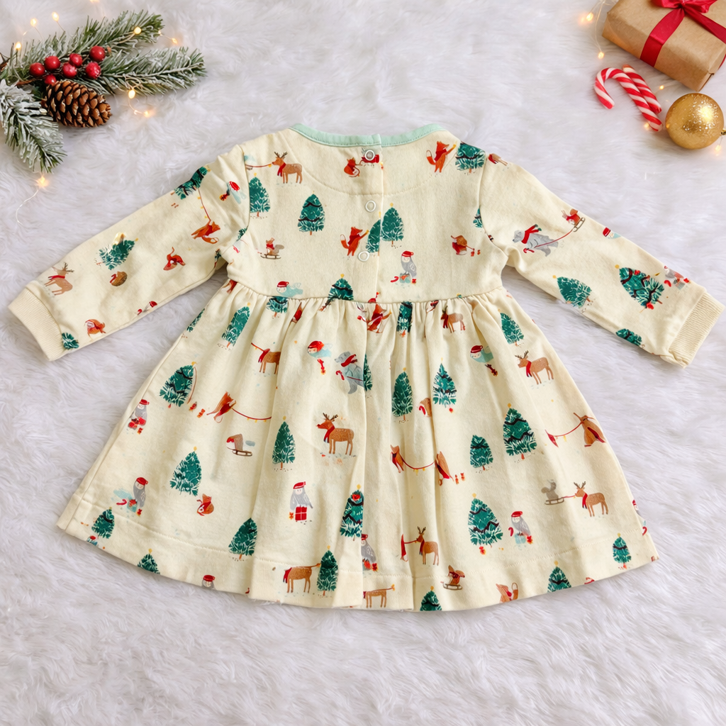 Winter Wonderland Printed Baby Dress